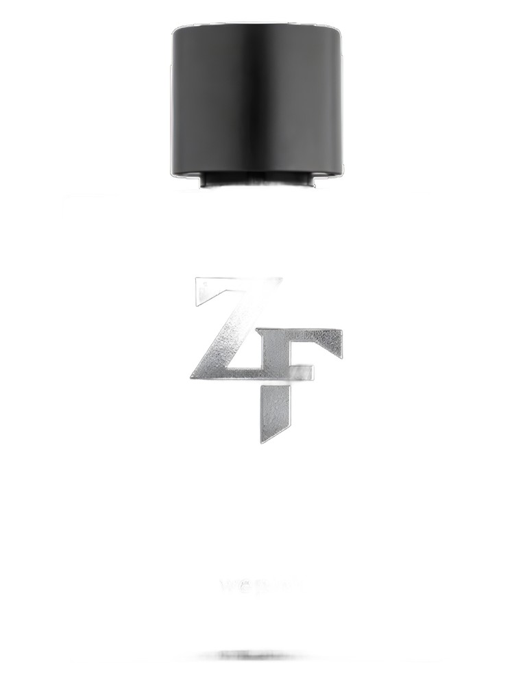 ZF Zé Felipe
